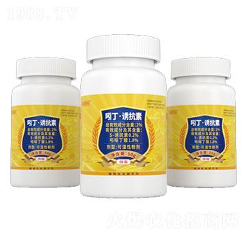 吲丁·誘抗素可濕性粉劑-瞄根旺-新瑞豐