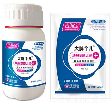 塊根莖膨大靈-大胖個(gè)兒-吉裕農(nóng)化