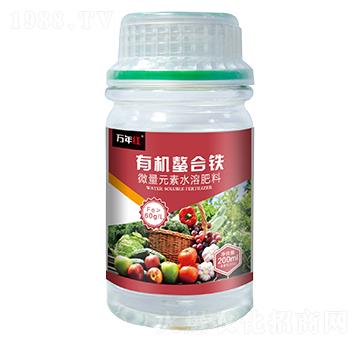 �ЙC���w�F-�f��t-�Z�\��