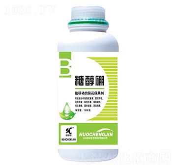 �Ǵ���-�Z�\��