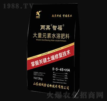 大量元素水溶肥料5-5-45+HA-兩黑·智福-諾誠金