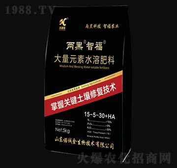 大量元素水溶肥料15-5-30+HA-兩黑·智福-諾誠金