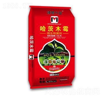 40kg����ľù-���r���F