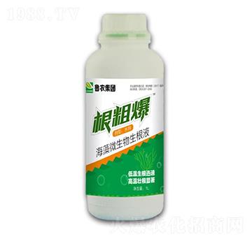 海藻微生物生根液-根粗爆-魯農(nóng)集團(tuán)