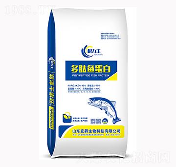 多肽魚蛋白-根力王-宜昇生物