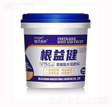 根益健-格蘭拓樸-戈藍(lán)