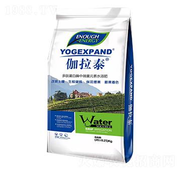 多肽蛋白酶中微量元素水溶肥-伽拉泰-心沐豐