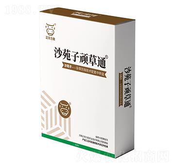 ɳԷ���B��ͨ-���A����