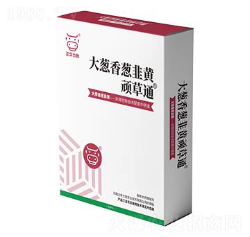 ���[�����[�����S�B��ͨ-���A����