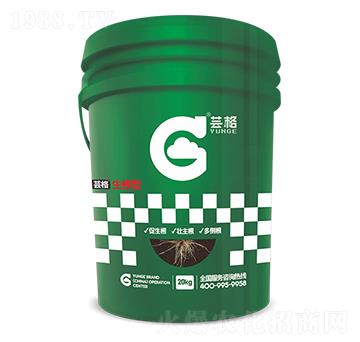 生根型水溶肥-蕓格