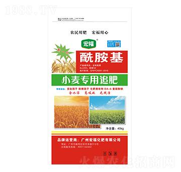 酰胺基小麥專用肥-宏?；? />
                                </div>
                            </div>
                            
                            <style type=