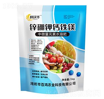 鋅硼鉀鈣鐵鎂-百鴻農(nóng)業(yè)