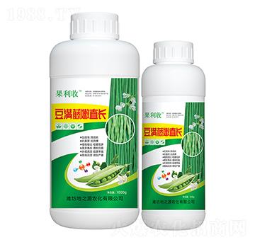 豆?jié)M藤嫩直長-百鴻農(nóng)業(yè)