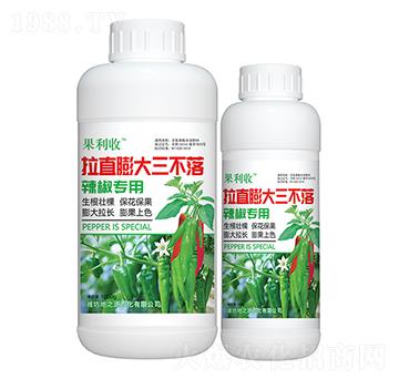 辣椒拉直膨大三不落-百鴻農(nóng)業(yè)