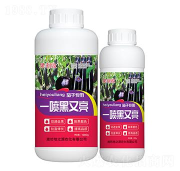茄子一噴黑又亮-百鴻農(nóng)業(yè)