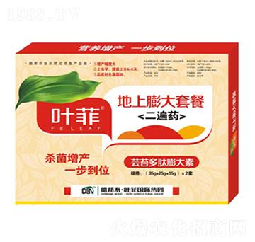 地上膨大套餐-德邦葉菲