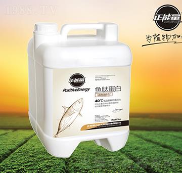 �~�ĵ���-������-������