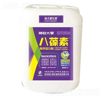 八葆素-神奇大拿-海之源