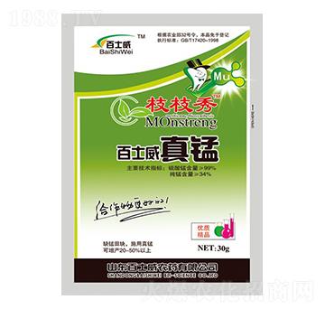 ��ʿ�����i-֦֦��-��ʿ��