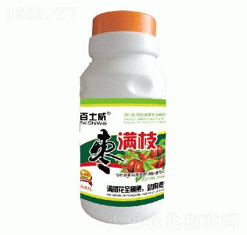 ���M֦-��ʿ��