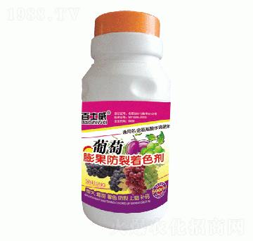 �������������ɫ��-��ʿ��