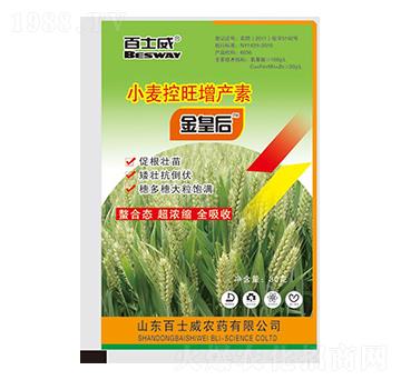 С���������a(ch��n)��-��ʺ�-��ʿ��