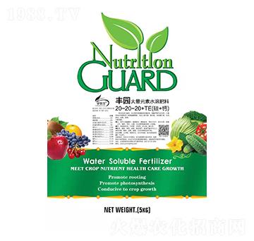 豐園大量元素水溶肥20-20-20+TE-恒豐農(nóng)化