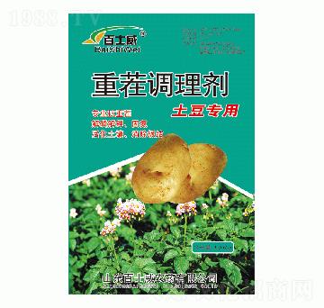 ���������ز��{�턩-��ʿ��