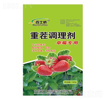 ��ݮ�����ز��{�턩-��ʿ��