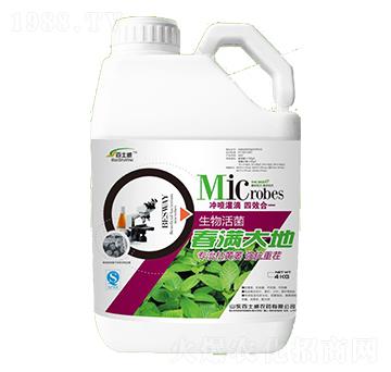 春滿大地-百士威