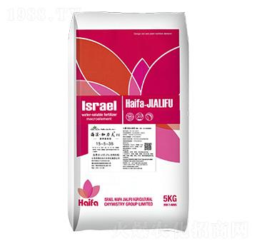 高鉀膨果型大量元素水溶肥15-5-35+TE-海法加力夫1號-海法加力夫