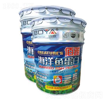 海洋魚蛋白-圣派恩