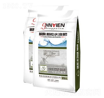 ̼ø���w��ˮ�ܷ�-ʥ�ɶ�