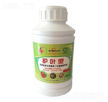 抗病型微生物菌劑-護(hù)葉靈-金滿田