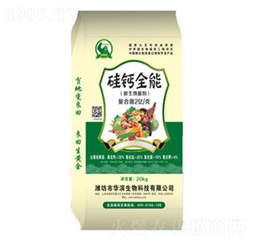 ���}ȫ��-�A�I����