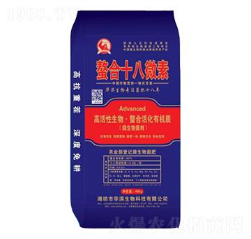 ����ʮ��΢��-�A�I����