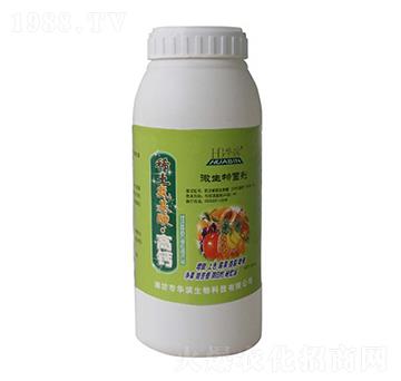 ϡ�������ᡤ���}΢����