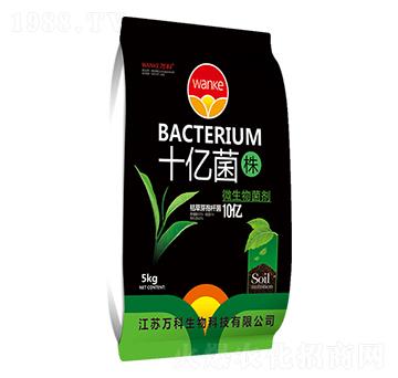 十億菌株（10億菌）-萬科