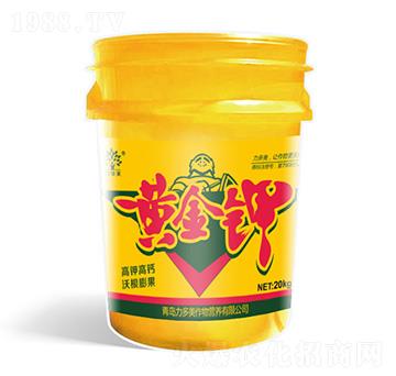 高鉀高鈣沃根膨果型黃金鉀-力多美-農(nóng)圣人