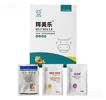 ��ù�������߲������˲�