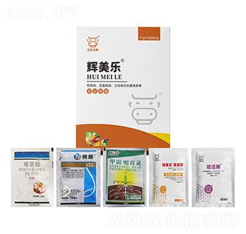 ���������o������������