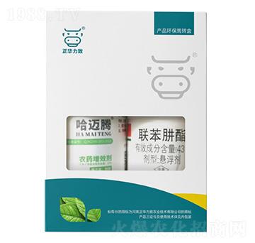強力殺螨套餐（哈邁騰+43%聯(lián)苯肼酯）-正華力致