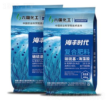 復(fù)合肥料-海豐時(shí)代-六國化工