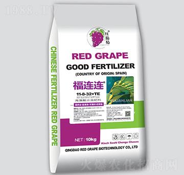 福連連海藻酸水溶肥-紅葡萄