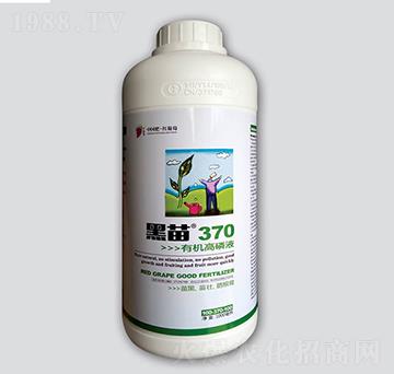 黑苗370有機高磷液-紅葡萄