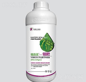 福連連鉬肥-紅葡萄