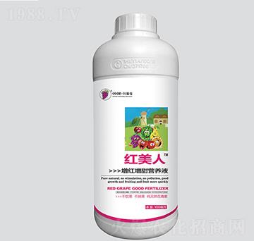 紅美人增紅增甜營養(yǎng)液-紅葡萄