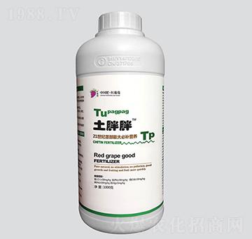 土胖胖莖部膨大必補營養(yǎng)-紅葡萄