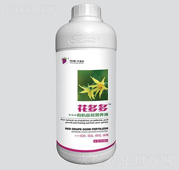 花多多有機促花營養(yǎng)液-紅葡萄