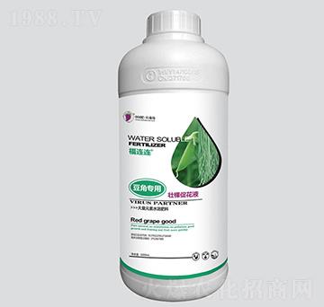 豆角專用壯棵促花液-紅葡萄